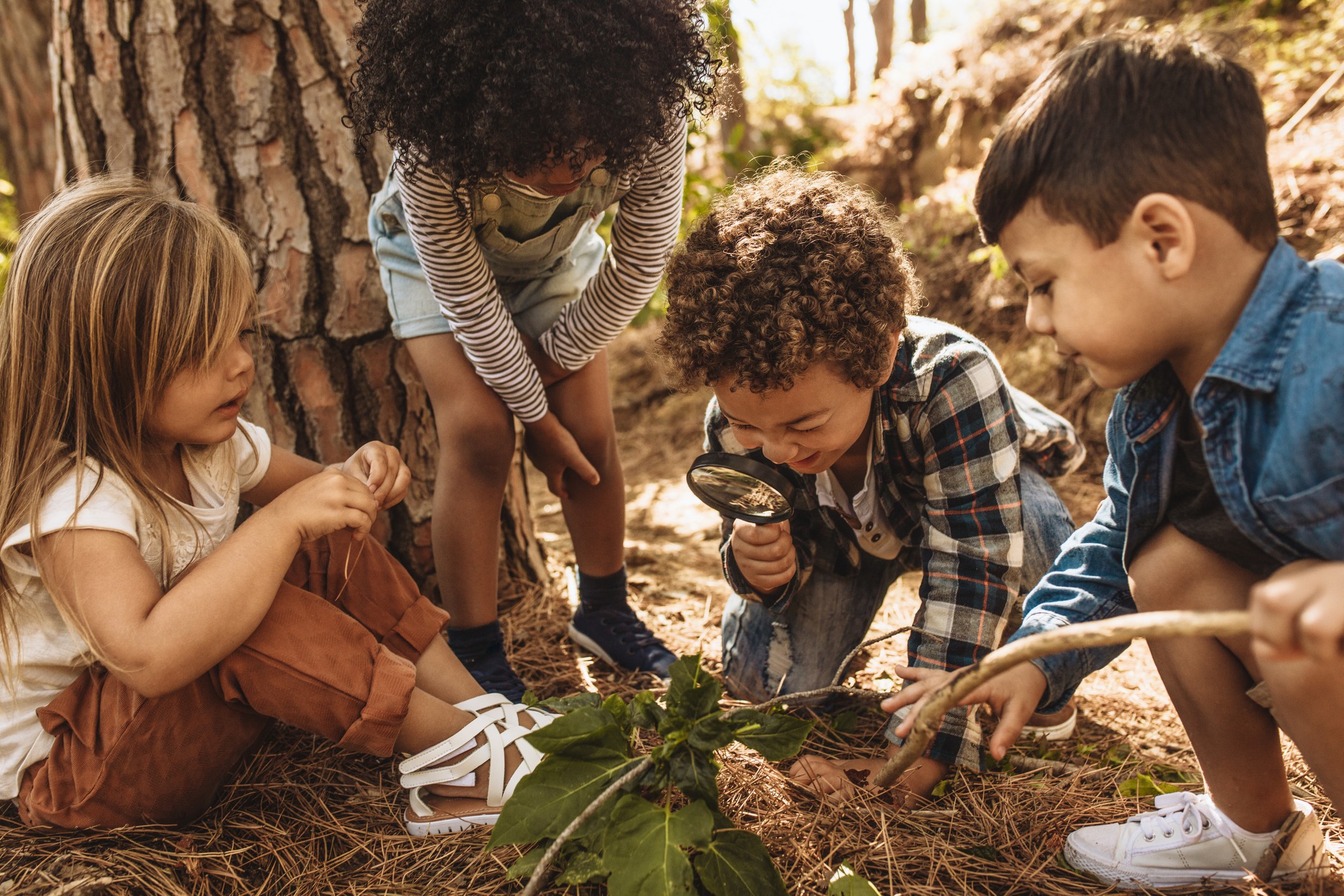 Group of children exploring outside.