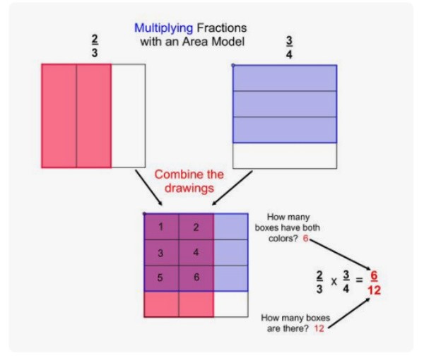 Area models for fraction multiplication
