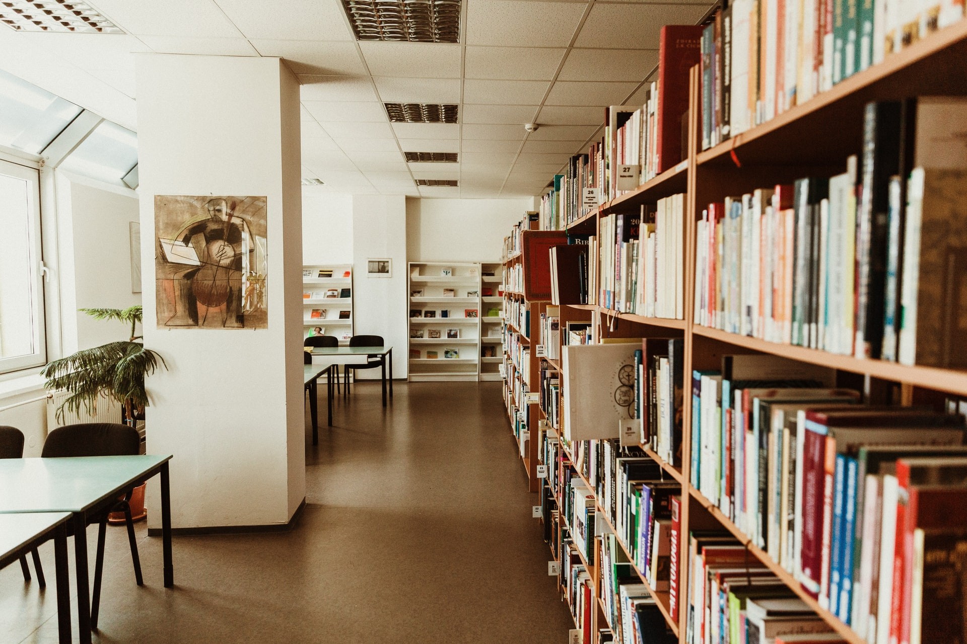 Interior picture of a library.