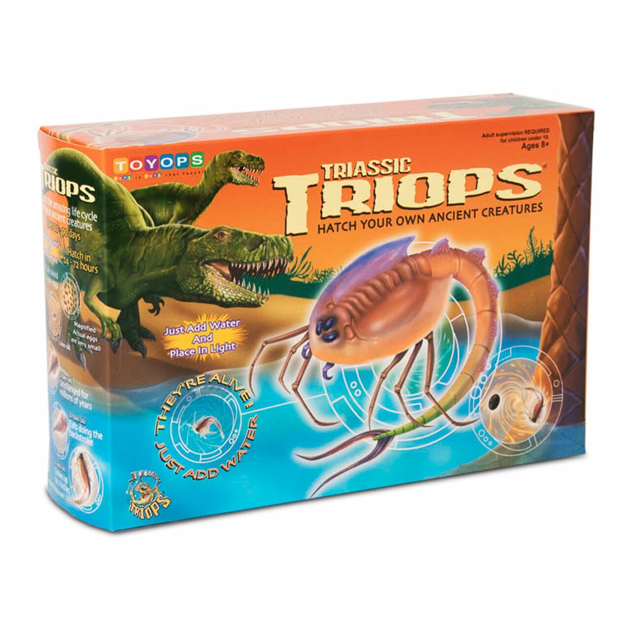 Triassic Triops Hatchery Kit for kids.