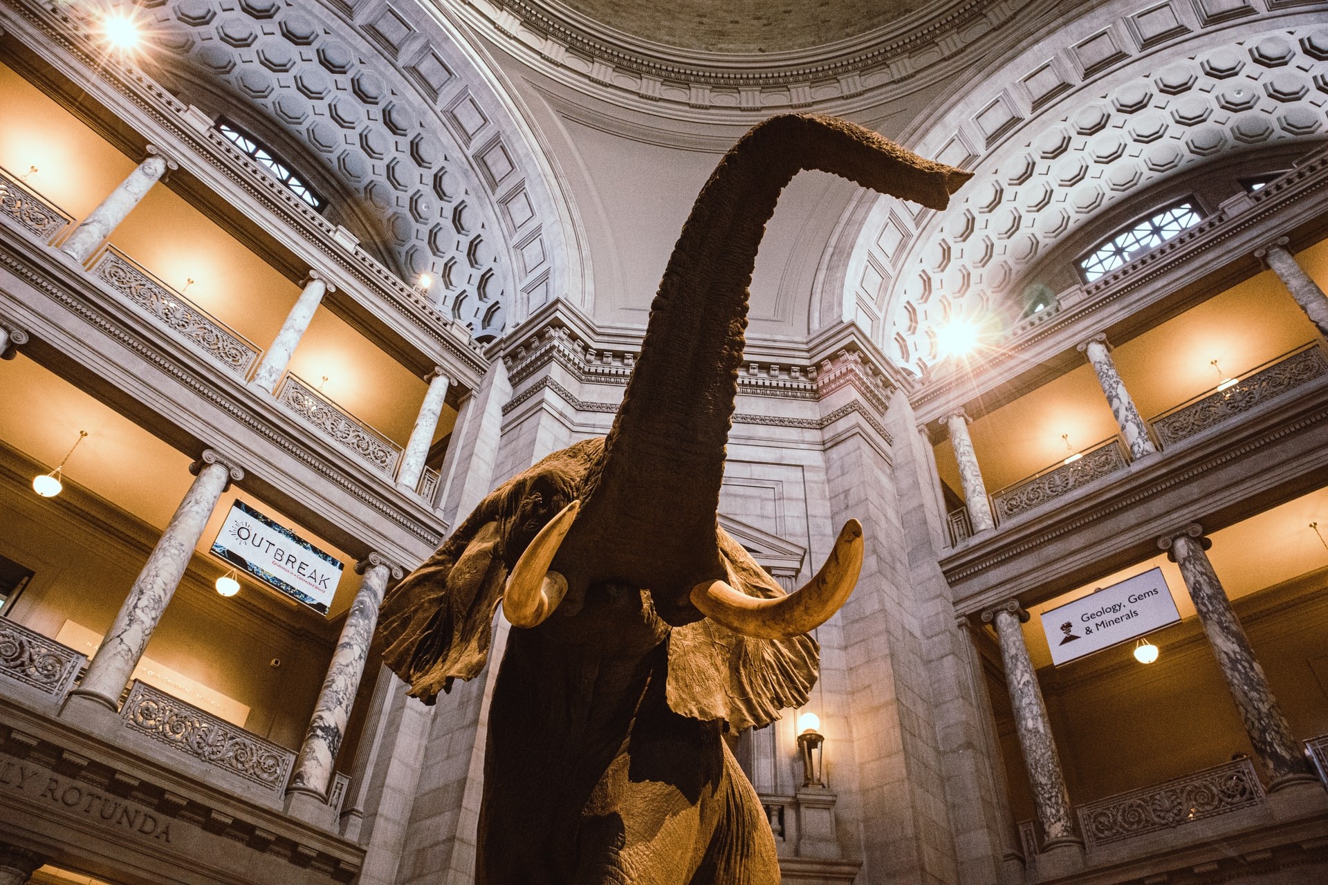 Visit the Smithsonian Museum of Natural History as part of a virtual tour.