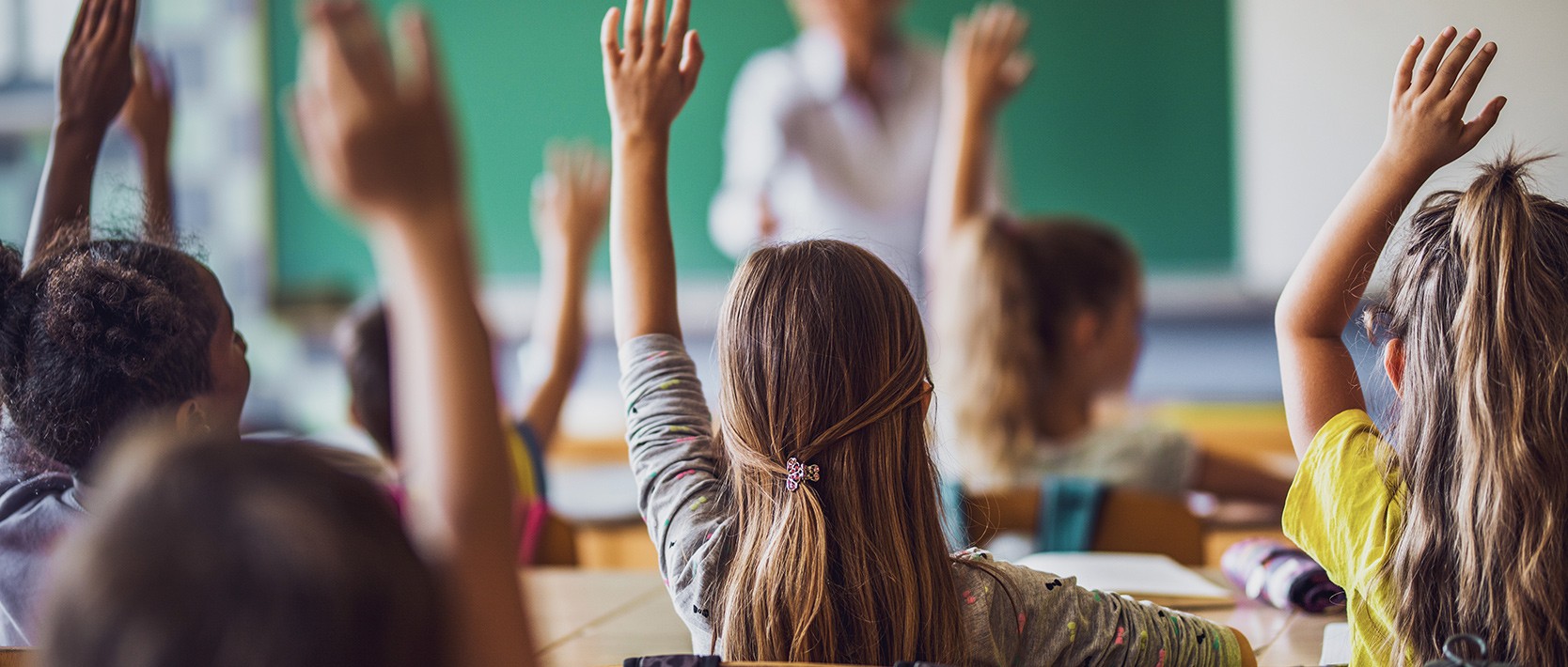 Prodigy teacher login image