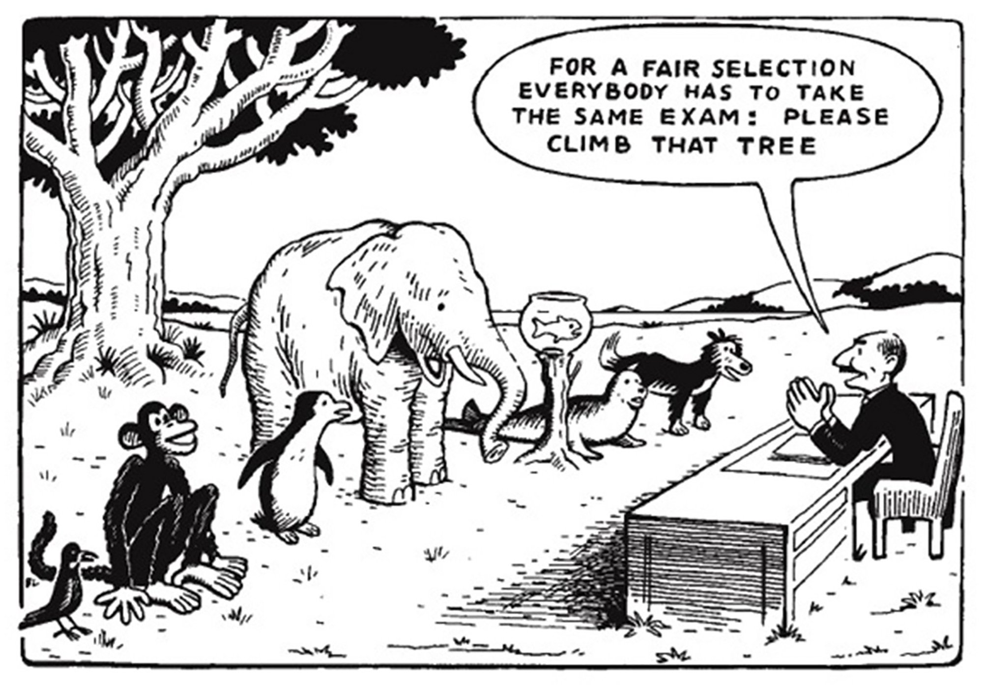 Cartoon of a bird, monkey, penguin, elephant, fish, seal and dog standing in front of a tree. A man at a desk in front of them says, "For a fair selection everybody has to take the same exam: Please climb that tree."