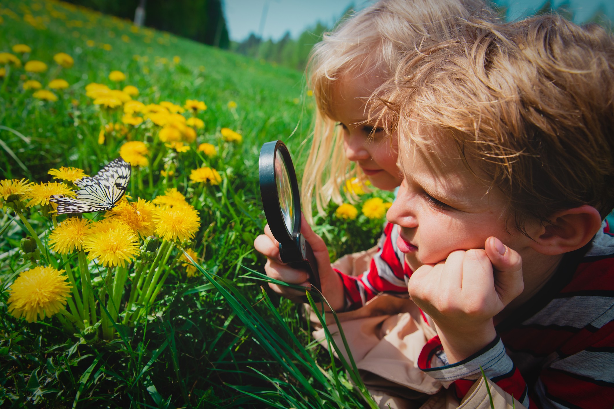 Two homeschooled children learning outside, looking at a butterfly through a magnifying glass